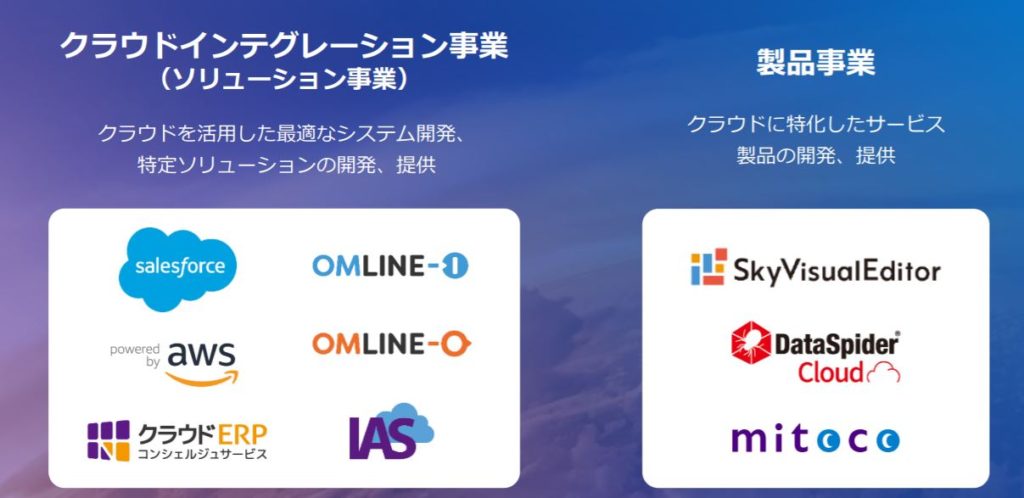 企業分析-株式会社テラスカイ(3915) 画像2