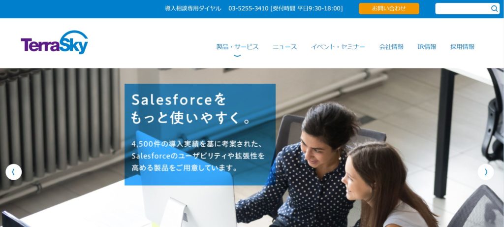 企業分析-株式会社テラスカイ(3915) 画像1
