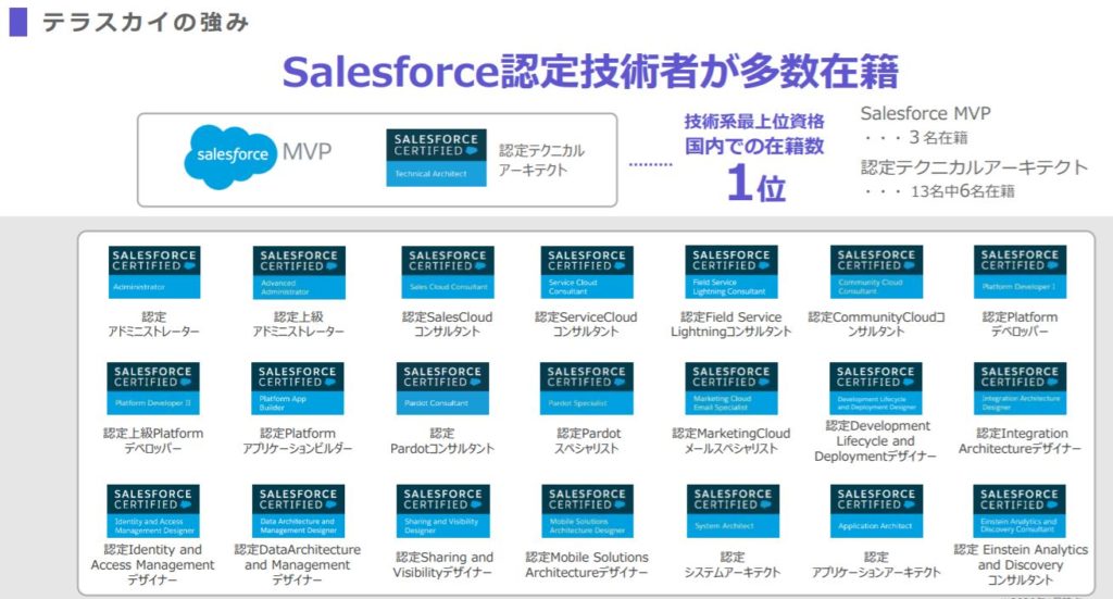 企業分析-株式会社テラスカイ(3915) 画像12