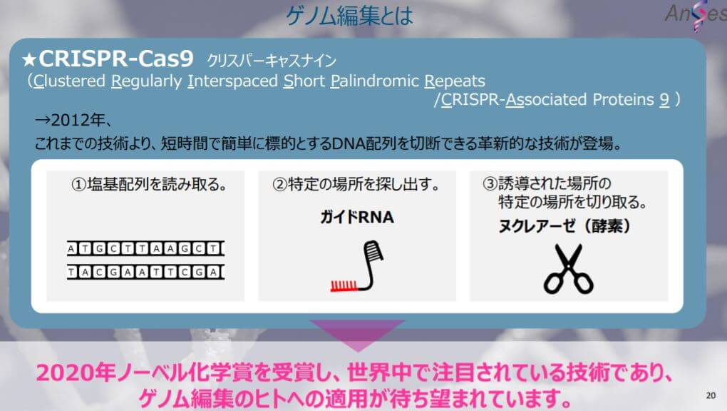 企業分析-アンジェス株式会社(4563) 画像7