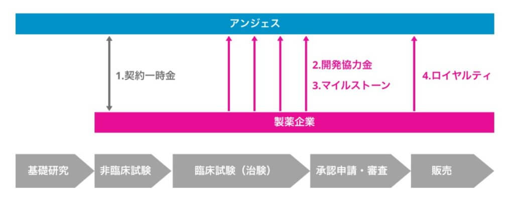 企業分析-アンジェス株式会社(4563) 画像3
