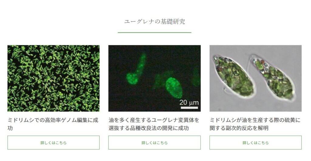 株式会社ユーグレナ(2931)の事業全体像　画像3